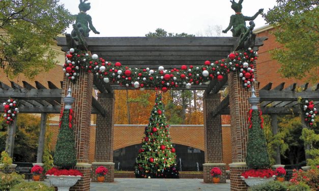 Seasonal Designs